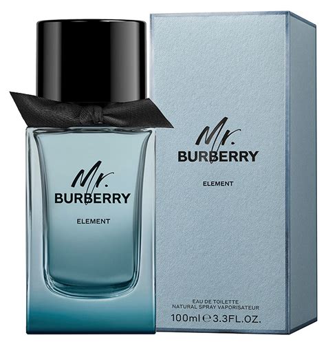 mr burberry perfume review.